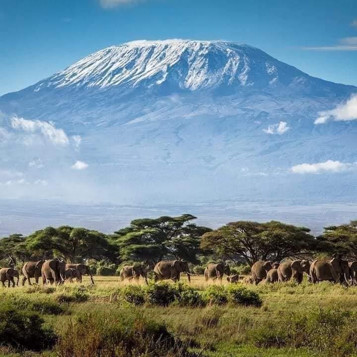 KILIMANJARO TREKKING - LEMOSHO ROUTE