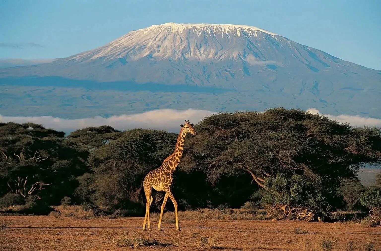 KILIMANJARO TREKKING - NORTHERN CIRCUIT ROUTE